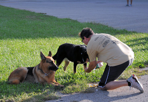 Participants in the 5K Run?